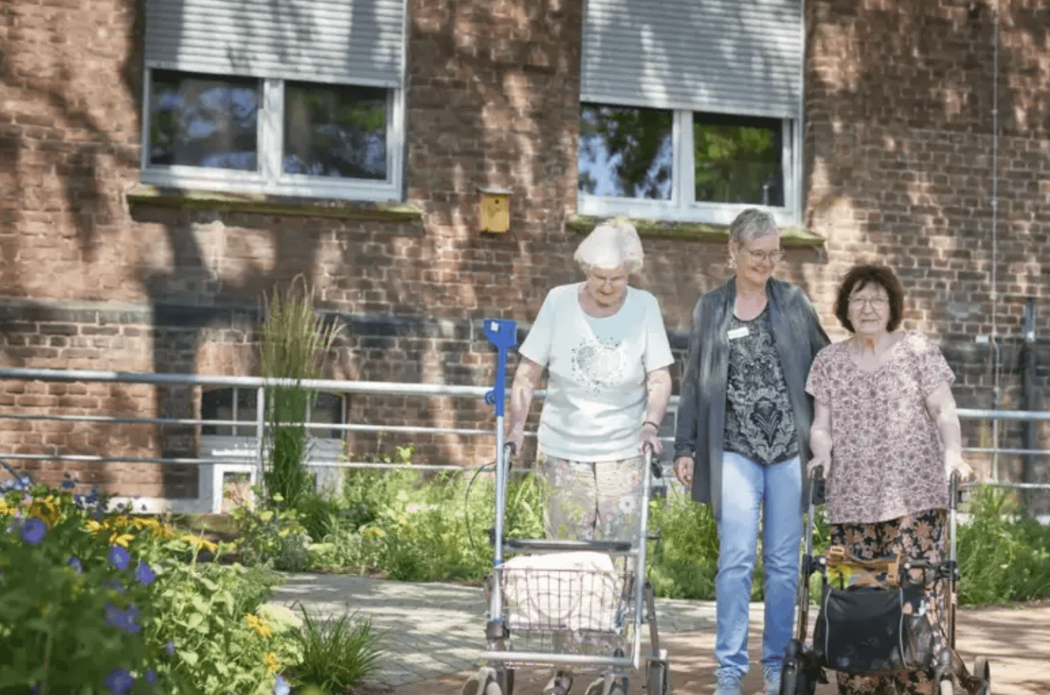 Senieren Bewegung